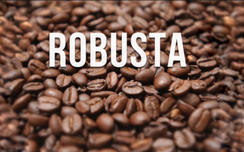 cafe robusta