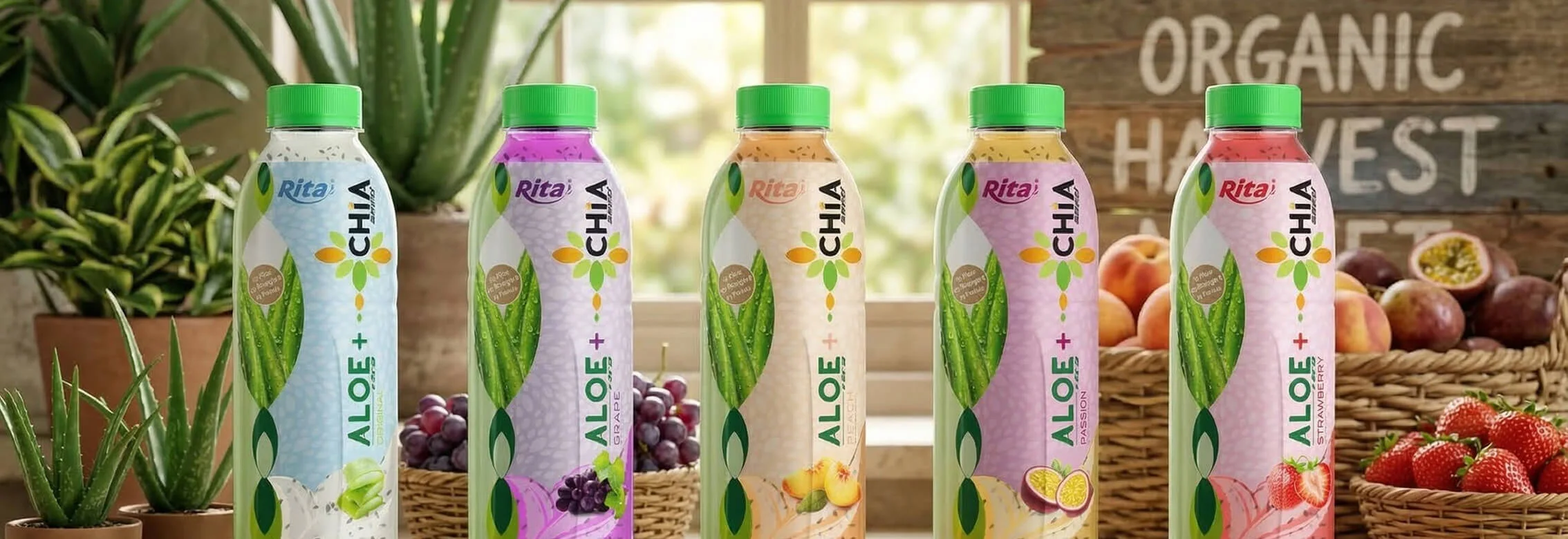 RITA aloe vera drinks